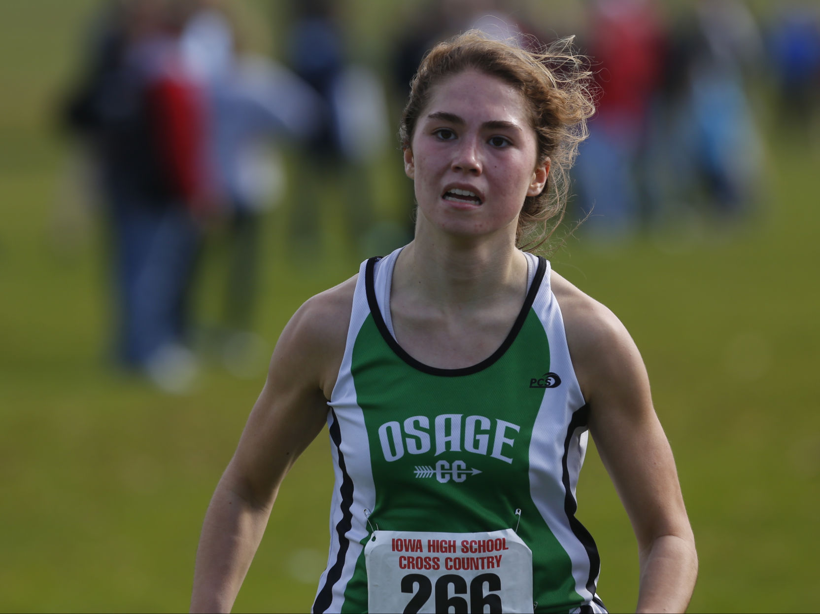 2016 State Cross Country Meet